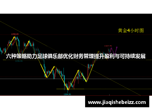 六种策略助力足球俱乐部优化财务管理提升盈利与可持续发展