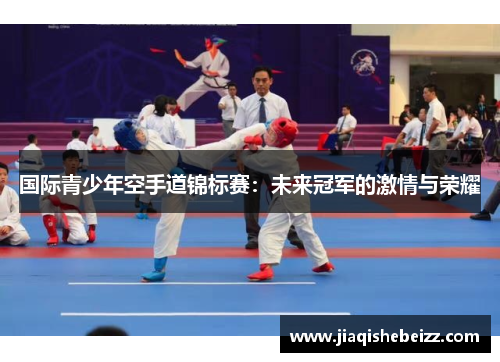 国际青少年空手道锦标赛：未来冠军的激情与荣耀