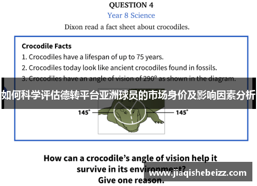 如何科学评估德转平台亚洲球员的市场身价及影响因素分析